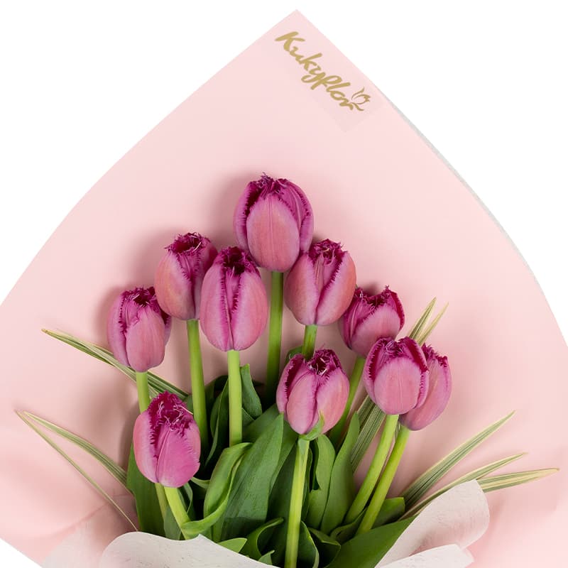 Tulipán Selecto (tallo individual)
