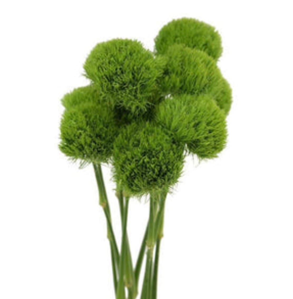 Green ball 